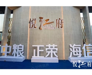 湖州湖州南京悦江府项目